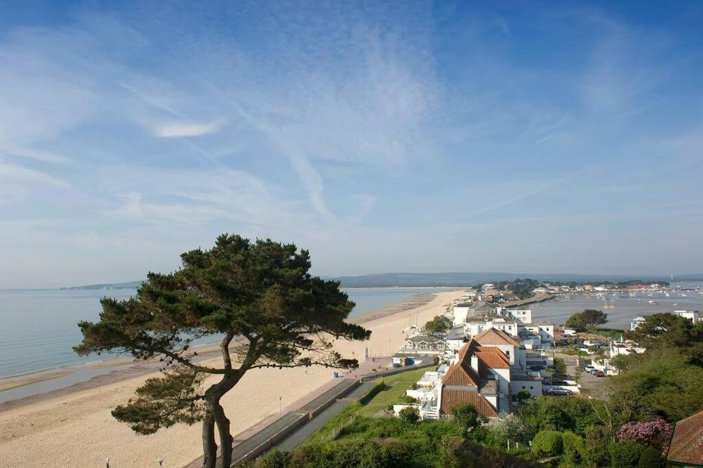 Bournecoast: Lovely Annex With Patio Nr Beach-5286 بورنماوث المظهر الخارجي الصورة
